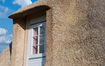 Iddesleigh thatch roof disadvantages