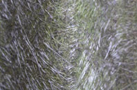 Iddesleigh fibreglass roof work